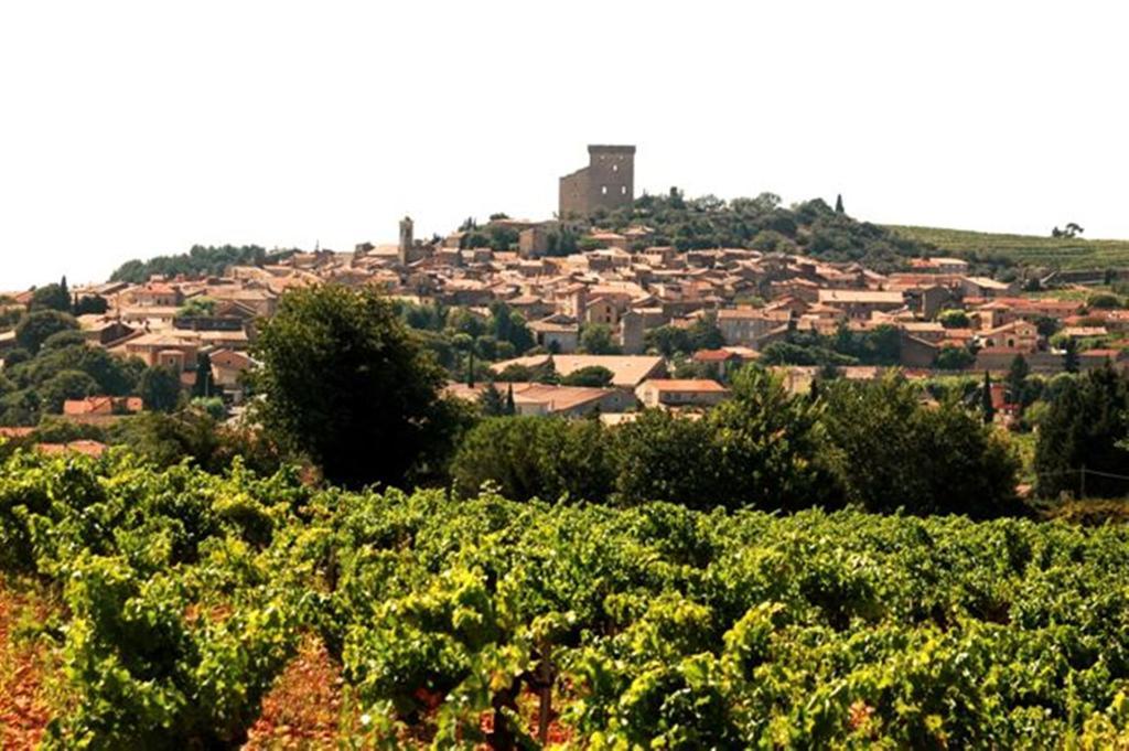 Le Mas De L'Amandier Saint-Saturnin-lès-Avignon Exteriér fotografie